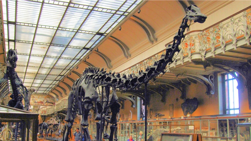 why were dinos so big.jpg